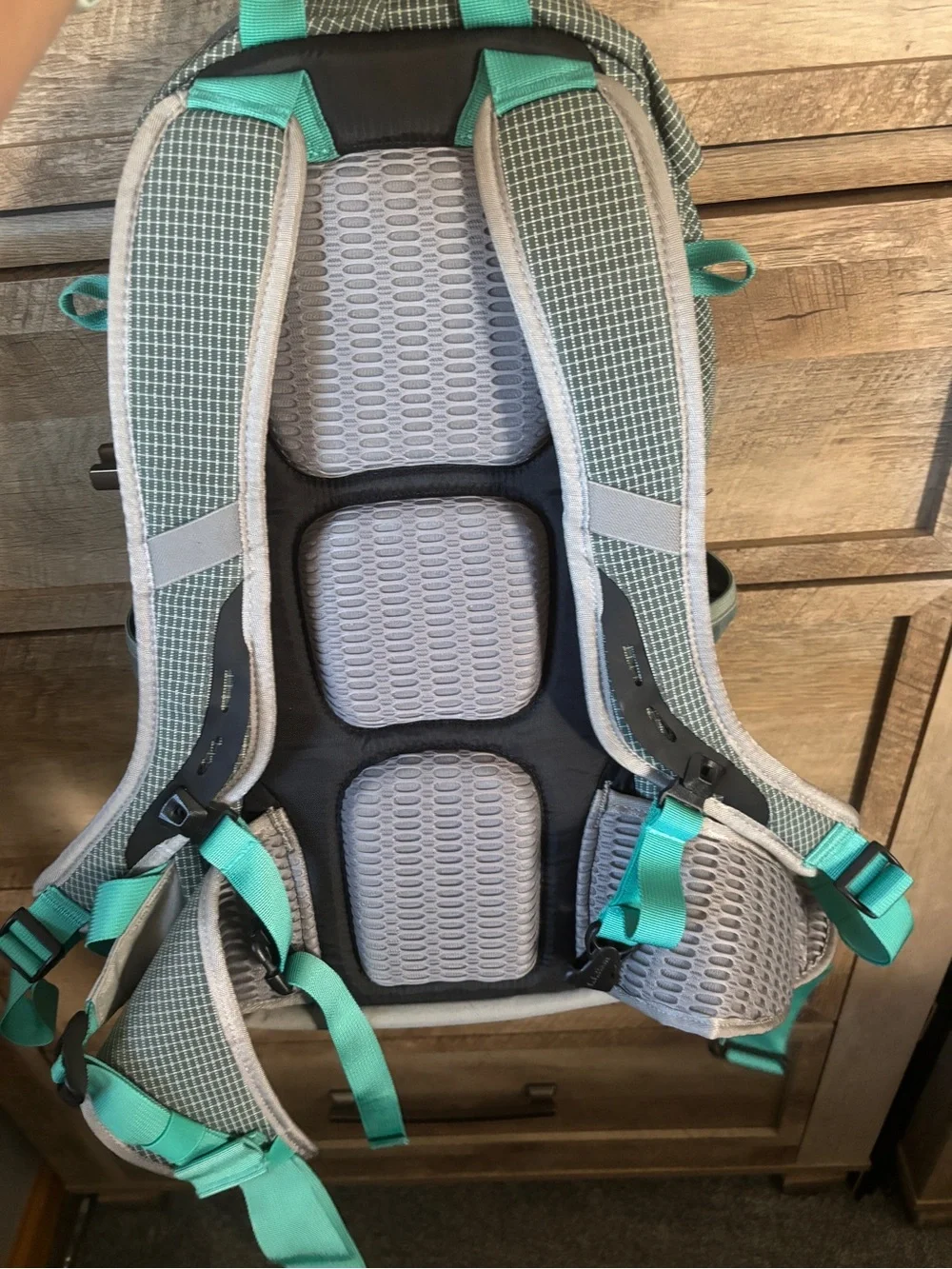 LL Bean Day Trekker 20